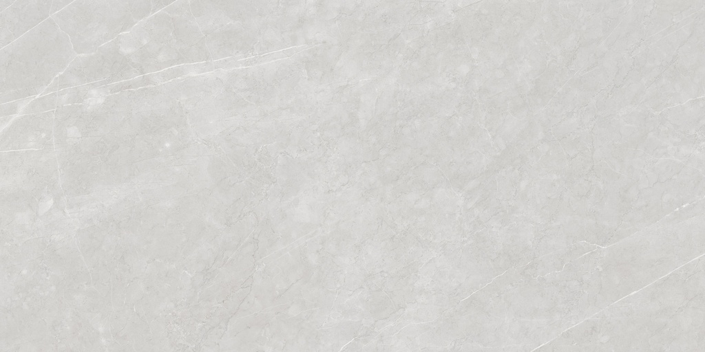 Aran Light Grey Polished 24X48