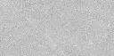 Amiata Light Gray_4.webp
