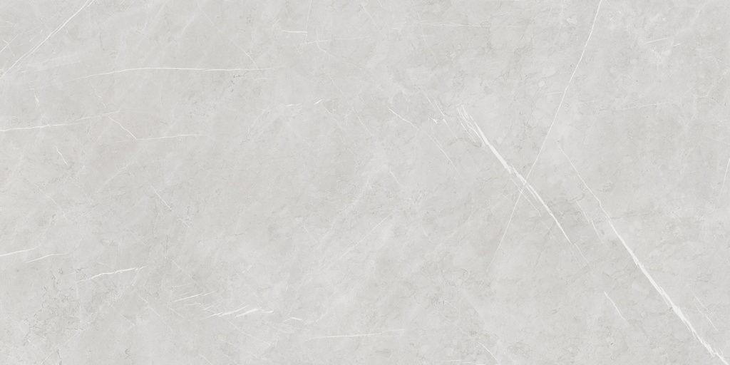 Aran Light Grey Polished 24X48