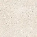 VIDA ARENA 100X100_b1.webp
