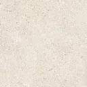 VIDA ARENA 100X100_c1.webp