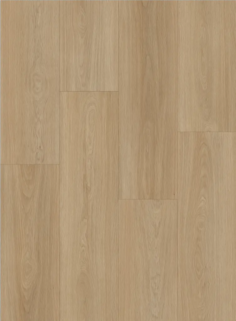 French Butter Layout.webp