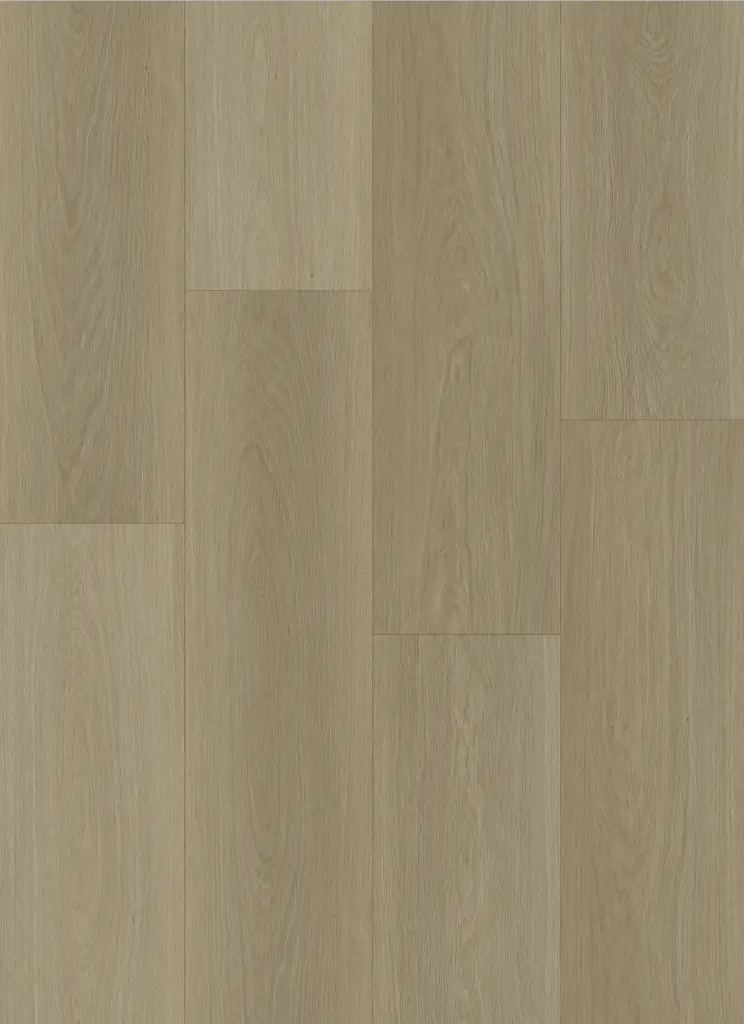Geneva Greige Layout.webp