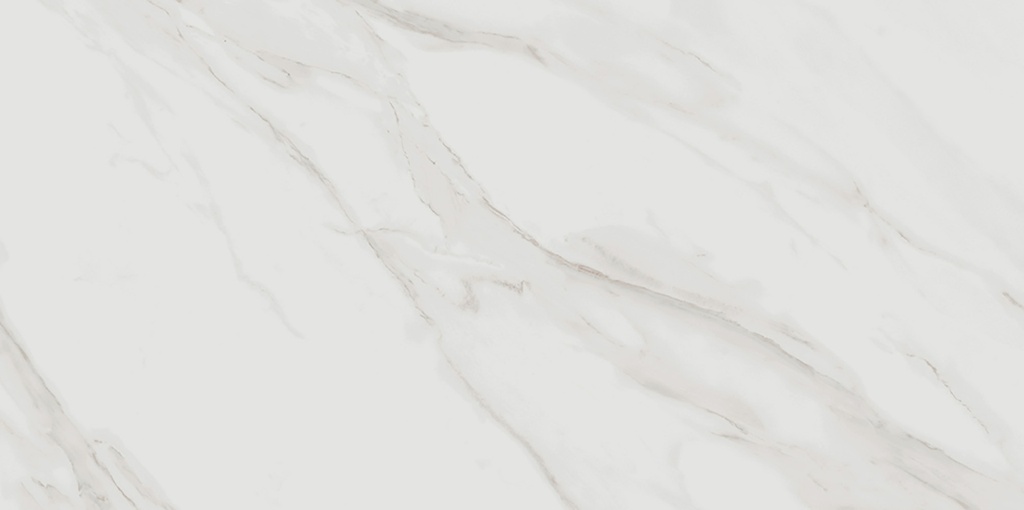 Calacatta Gold 48X48