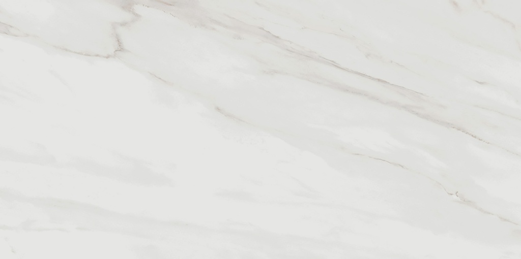 Calacatta Gold 48X48