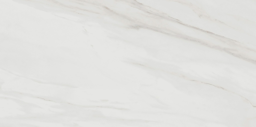 Calacatta Gold 48X48