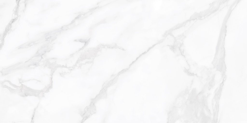 Calacatta Polished 24X48