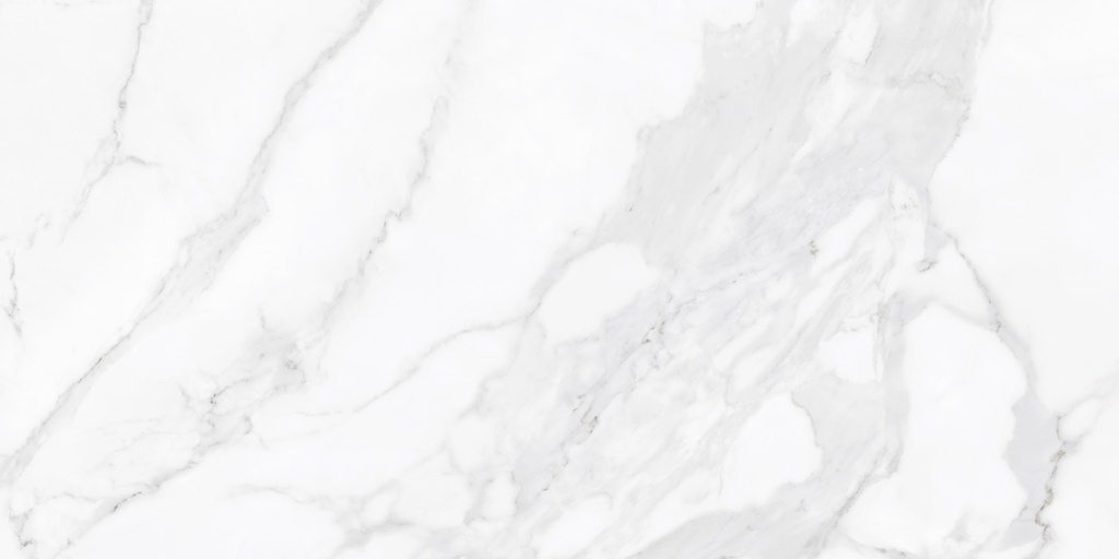 Calacatta Polished 24X48