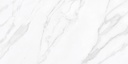 Calacatta Polished 24X48