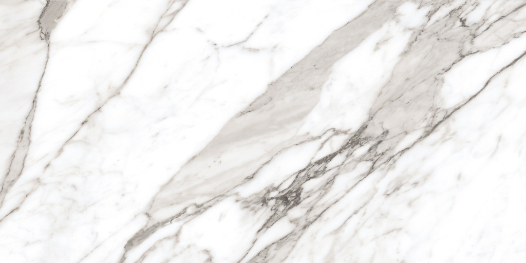 Calacatta Silver 24X48