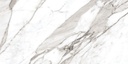 Calacatta Silver 24X48
