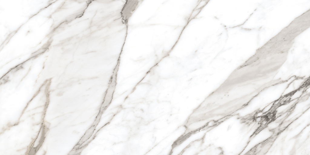 Calacatta Silver 24X48