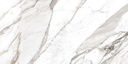 Calacatta Silver 24X48