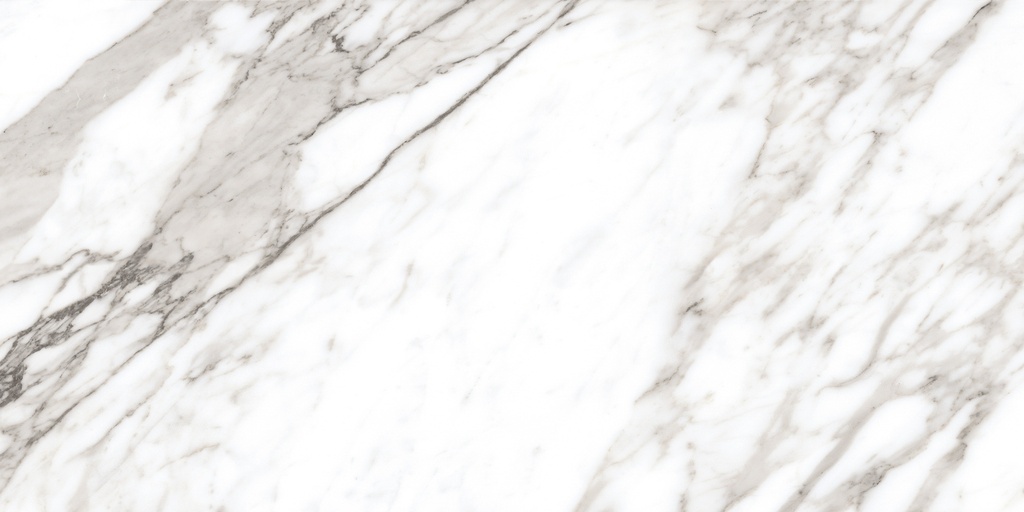 Calacatta Silver 24X48