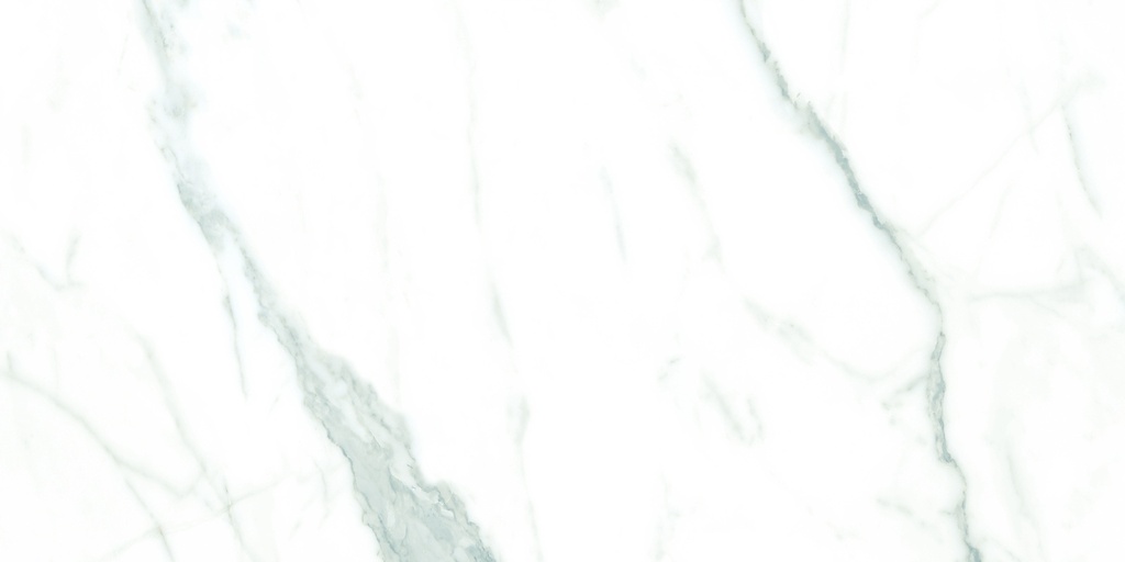 Capitol White Polished 24X48