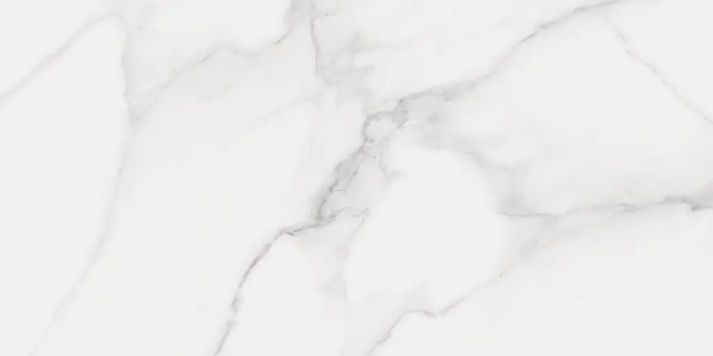 LUMIERE WHITE 60X120 PUL 09.webp
