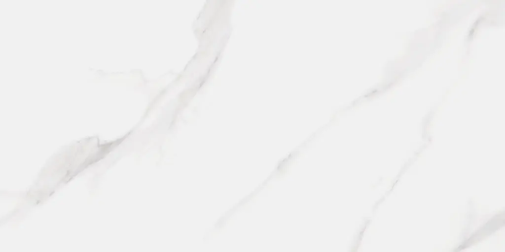 LUMIERE WHITE 60X120 PUL 11.webp