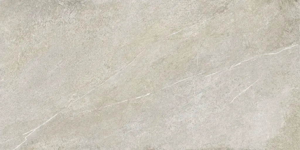 SAKHIR GREY 60X120 MT 12.webp