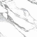 Carrara White 36X36