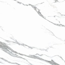 Carrara White 36X36
