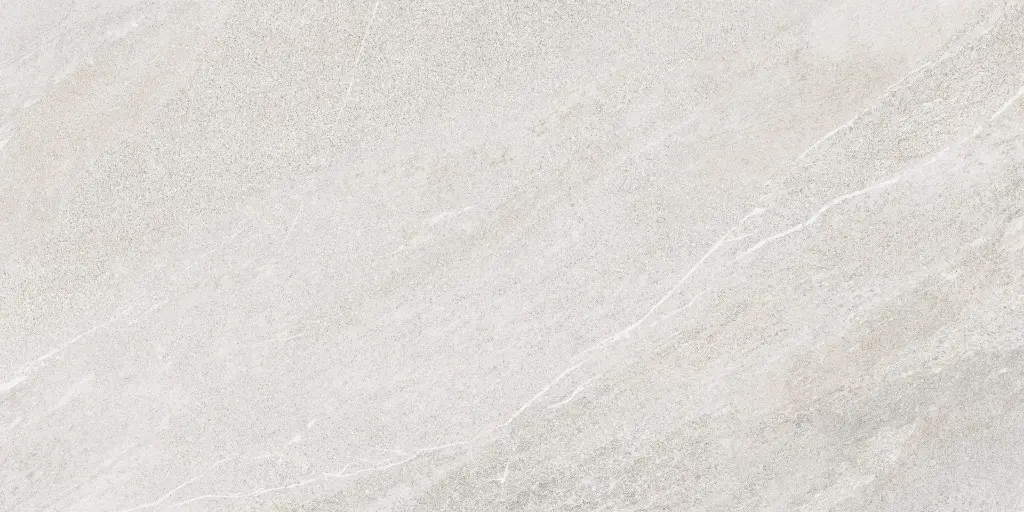 SAKHIR SOFT GREY 60X120 MT 05.webp