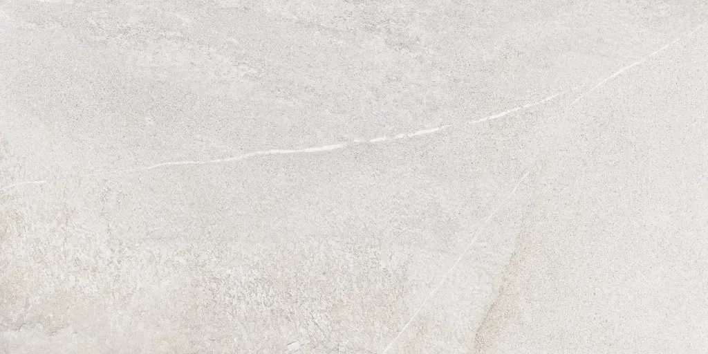 SAKHIR SOFT GREY 60X120 MT 02.webp