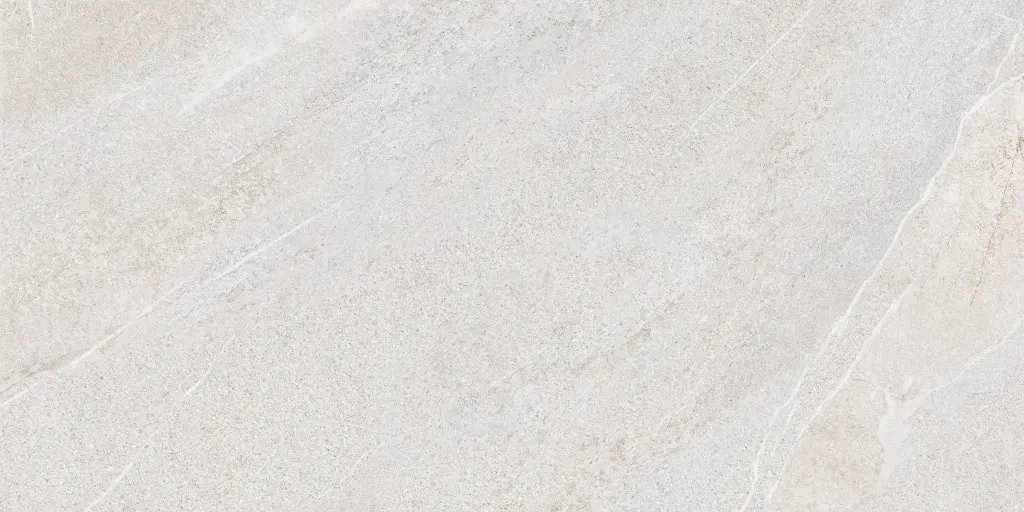 SAKHIR SOFT GREY 60X120 MT 04.webp