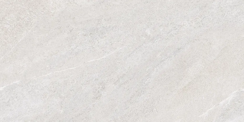 SAKHIR SOFT GREY 60X120 MT 01.webp