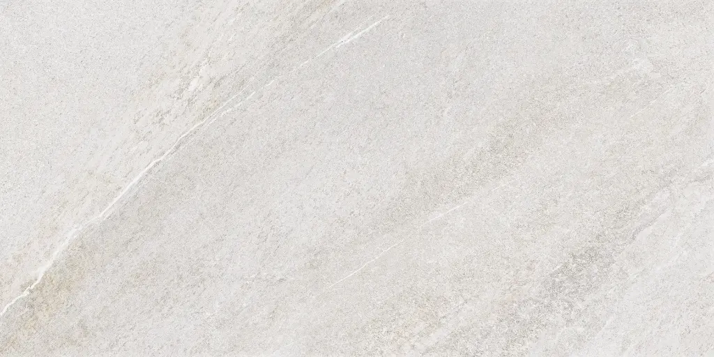 SAKHIR SOFT GREY 60X120 MT 10.webp