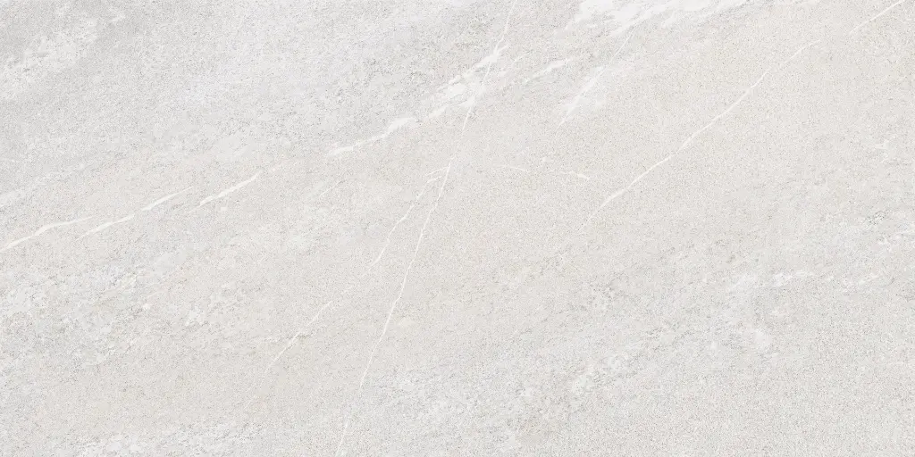 SAKHIR SOFT GREY 60X120 MT 03.webp