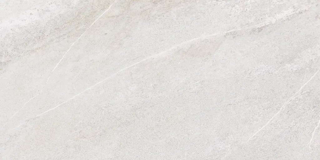 SAKHIR SOFT GREY 60X120 MT 11.webp