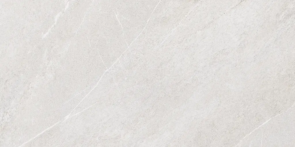 SAKHIR SOFT GREY 60X120 MT 13.webp