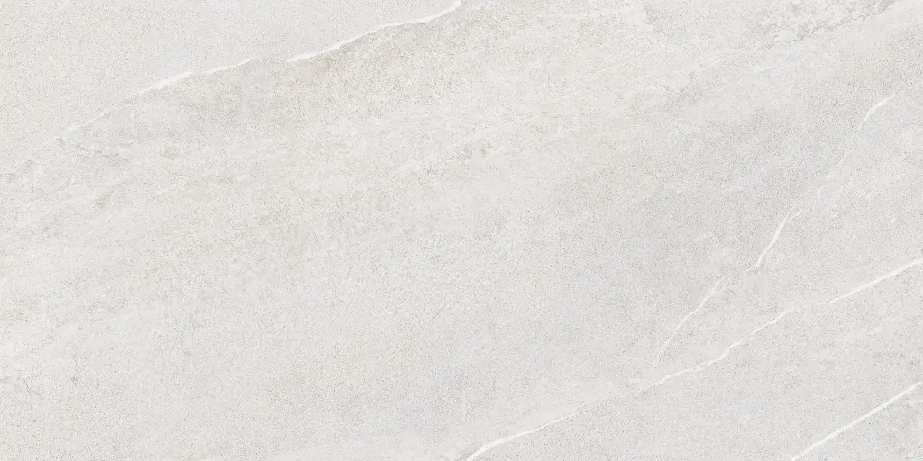 SAKHIR SOFT GREY 60X120 MT 14.webp
