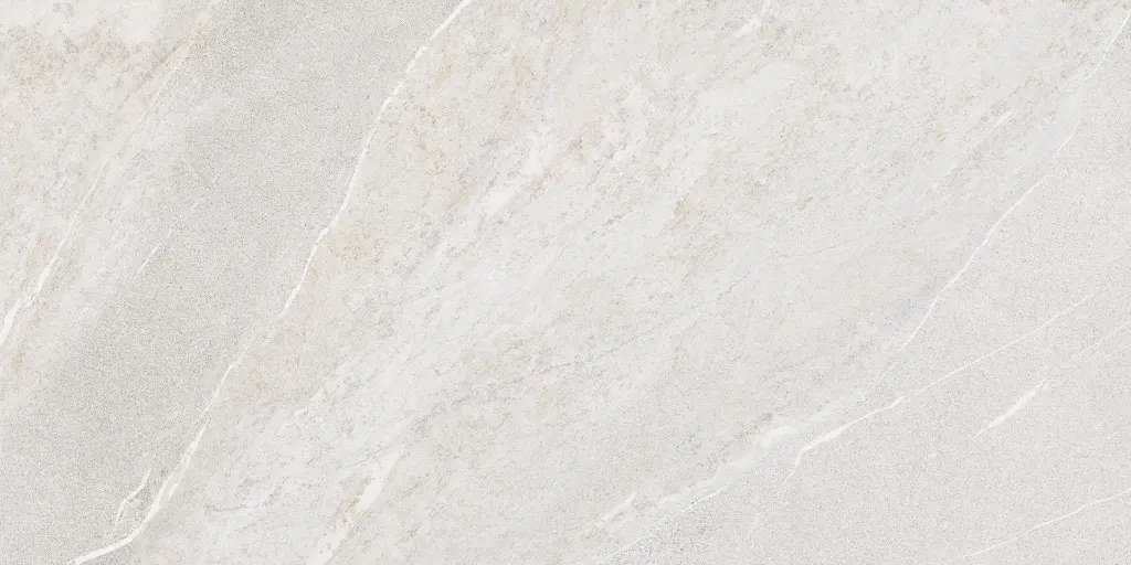SAKHIR SOFT GREY 60X120 MT 09.webp