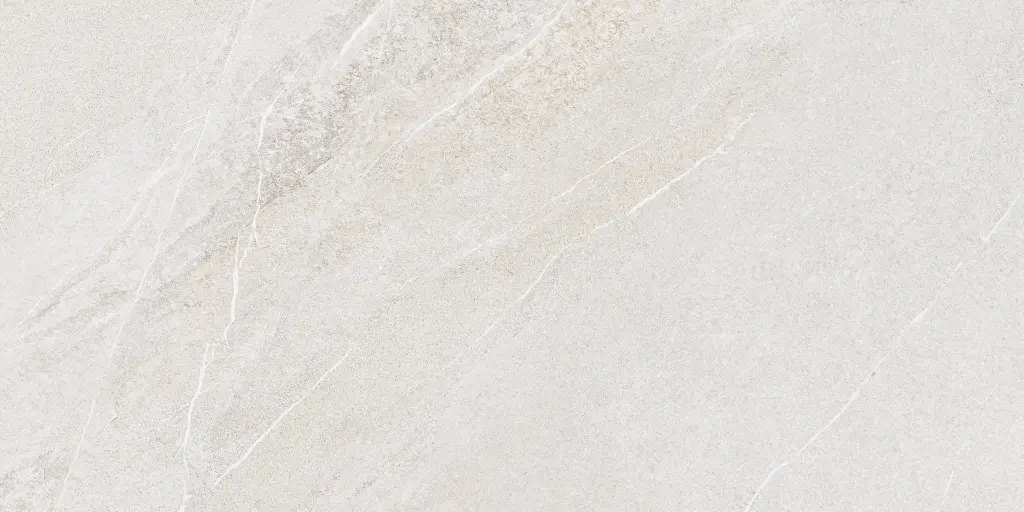 SAKHIR SOFT GREY 60X120 MT 06.webp