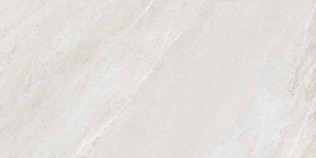 SAKHIR SOFT GREY 60X120 MT 07.webp