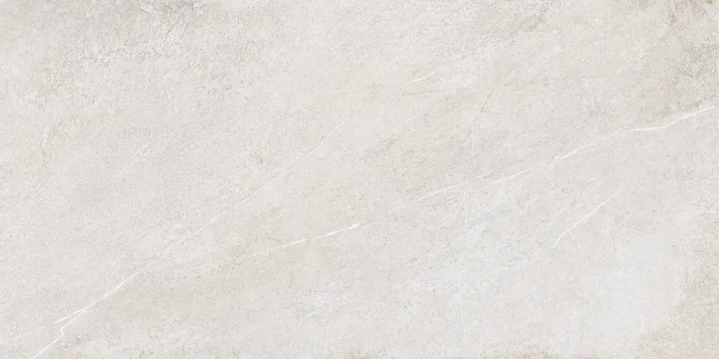 SAKHIR SOFT GREY 60X120 MT 12.webp