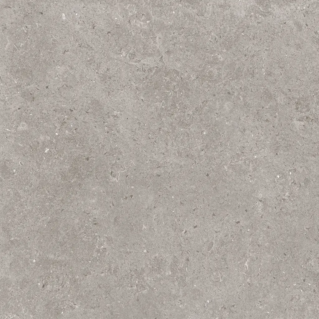 ULISSE GREY 60X60 05.webp