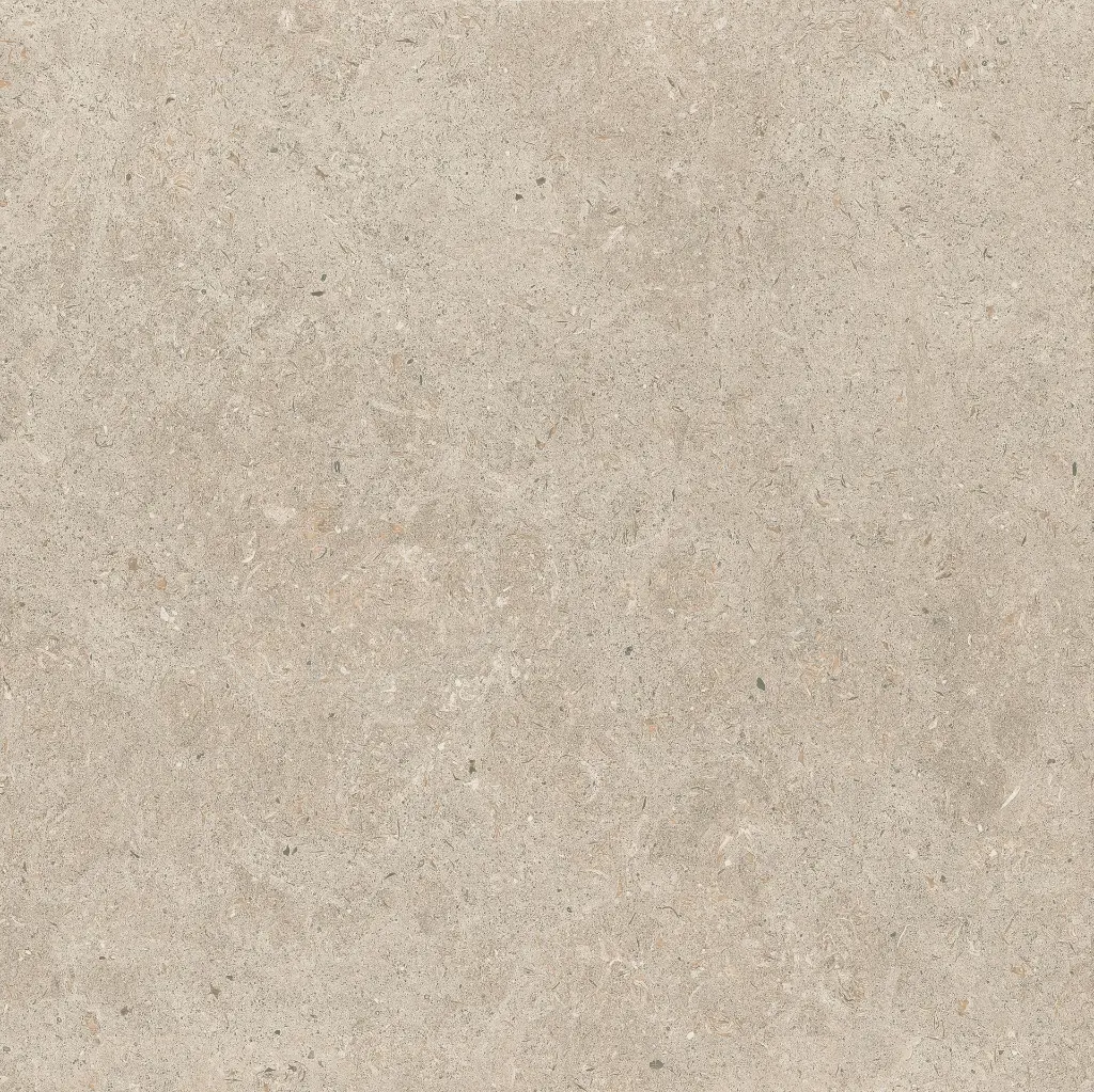 ULISSE NATURAL 60X60 ANTID 14.webp