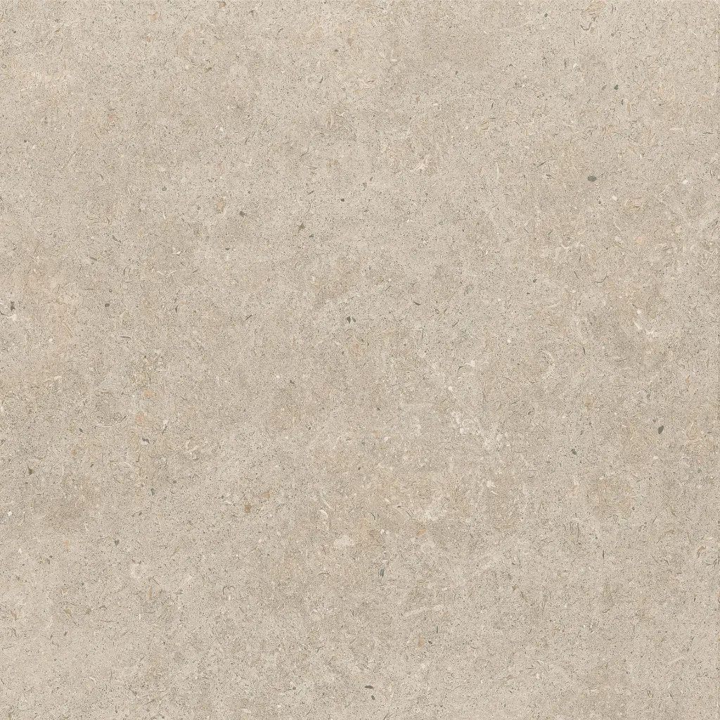 ULISSE NATURAL 60X60 ANTID 05.webp