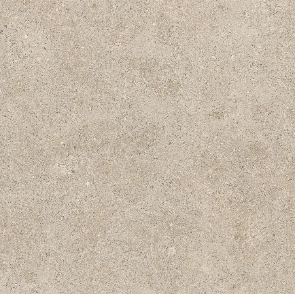 ULISSE NATURAL 60X60 ANTID 01.webp
