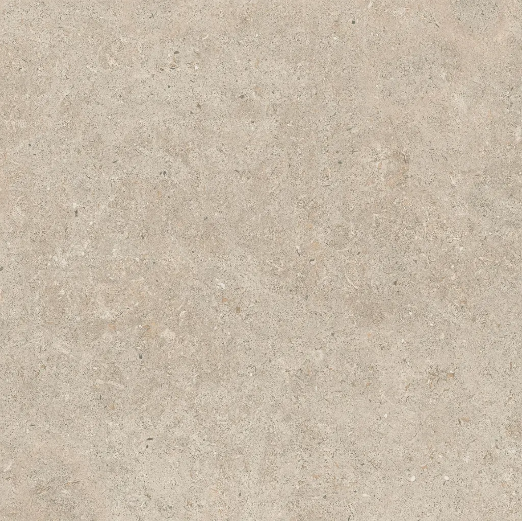 ULISSE NATURAL 60X60 ANTID 16.webp
