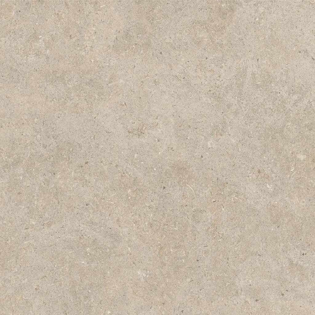 ULISSE NATURAL 60X60 ANTID 04.webp