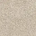 ULISSE NATURAL 60X60 ANTID 04.webp