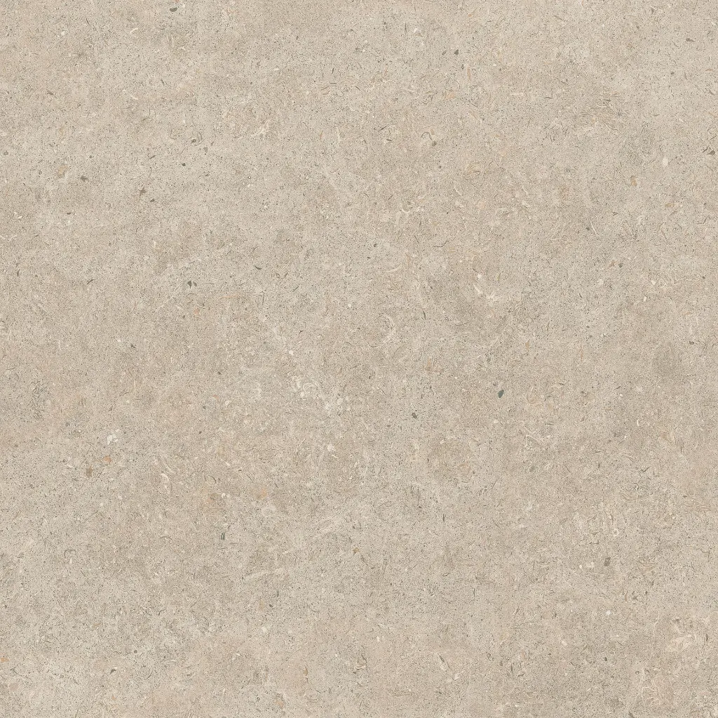 ULISSE NATURAL 60X60 ANTID 02.webp