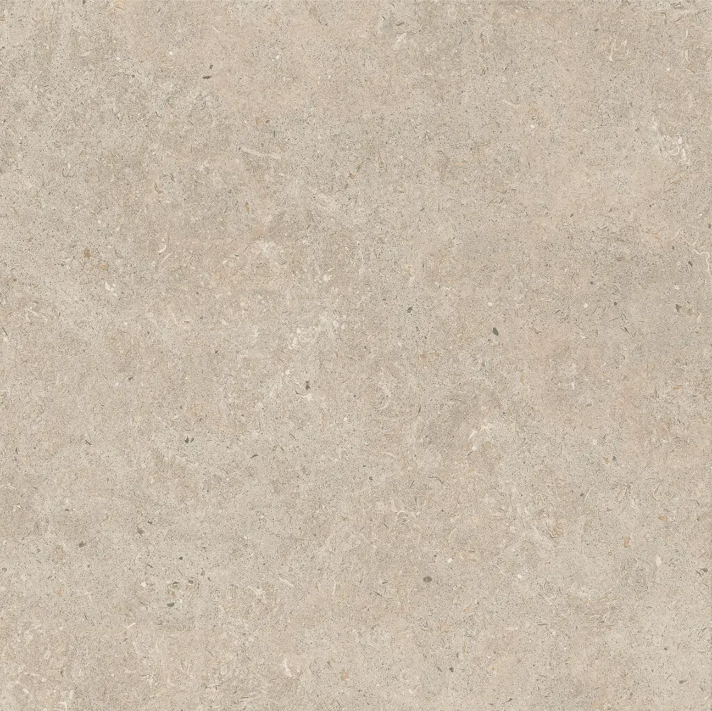 ULISSE NATURAL 60X60 ANTID 08.webp