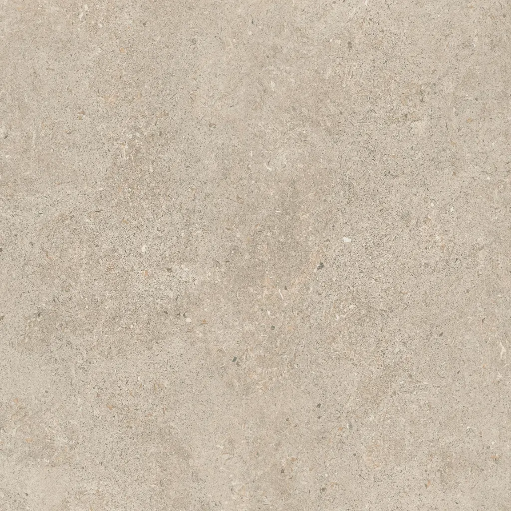 ULISSE NATURAL 60X60 ANTID 11.webp
