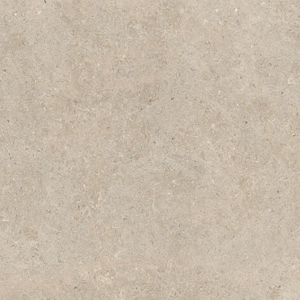 ULISSE NATURAL 60X60 ANTID 07.webp