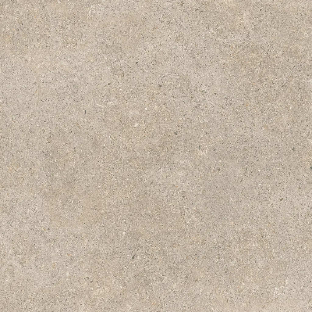 ULISSE NATURAL 60X60 ANTID 12.webp