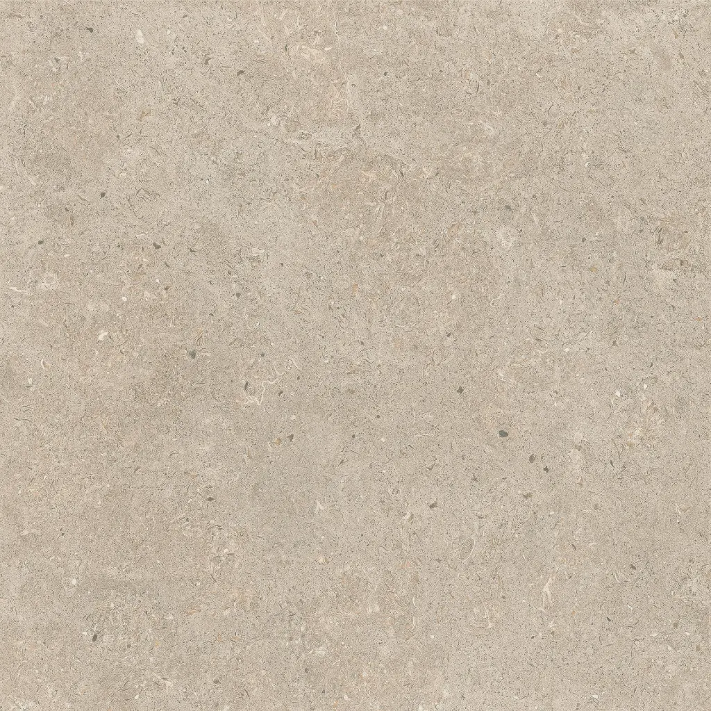 ULISSE NATURAL 60X60 ANTID 03.webp